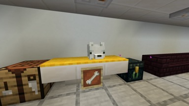 2021-01-25_20.56.00